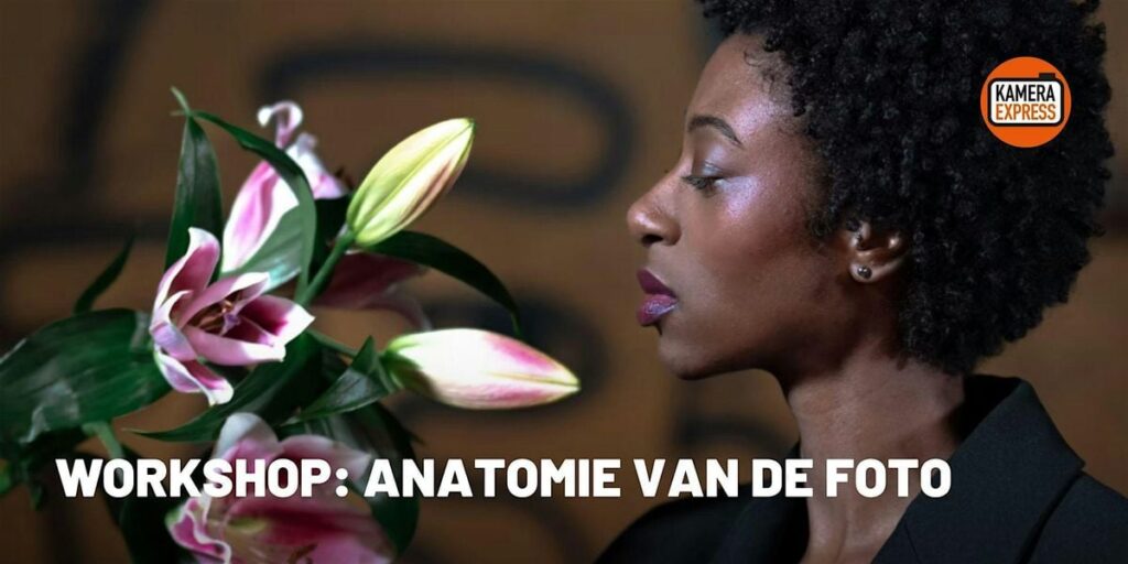 Workshop: Anatomie van de Foto in Leidschendam-Voorburg