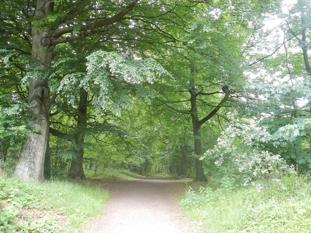 Wildplukwandeling in Leidschendam-Voorburg