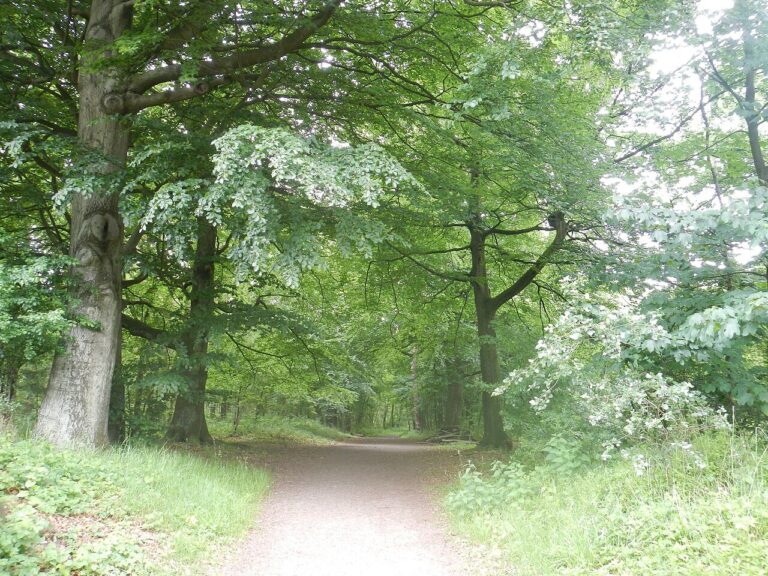 Wildplukwandeling — natuur in Leidschendam-Voorburg